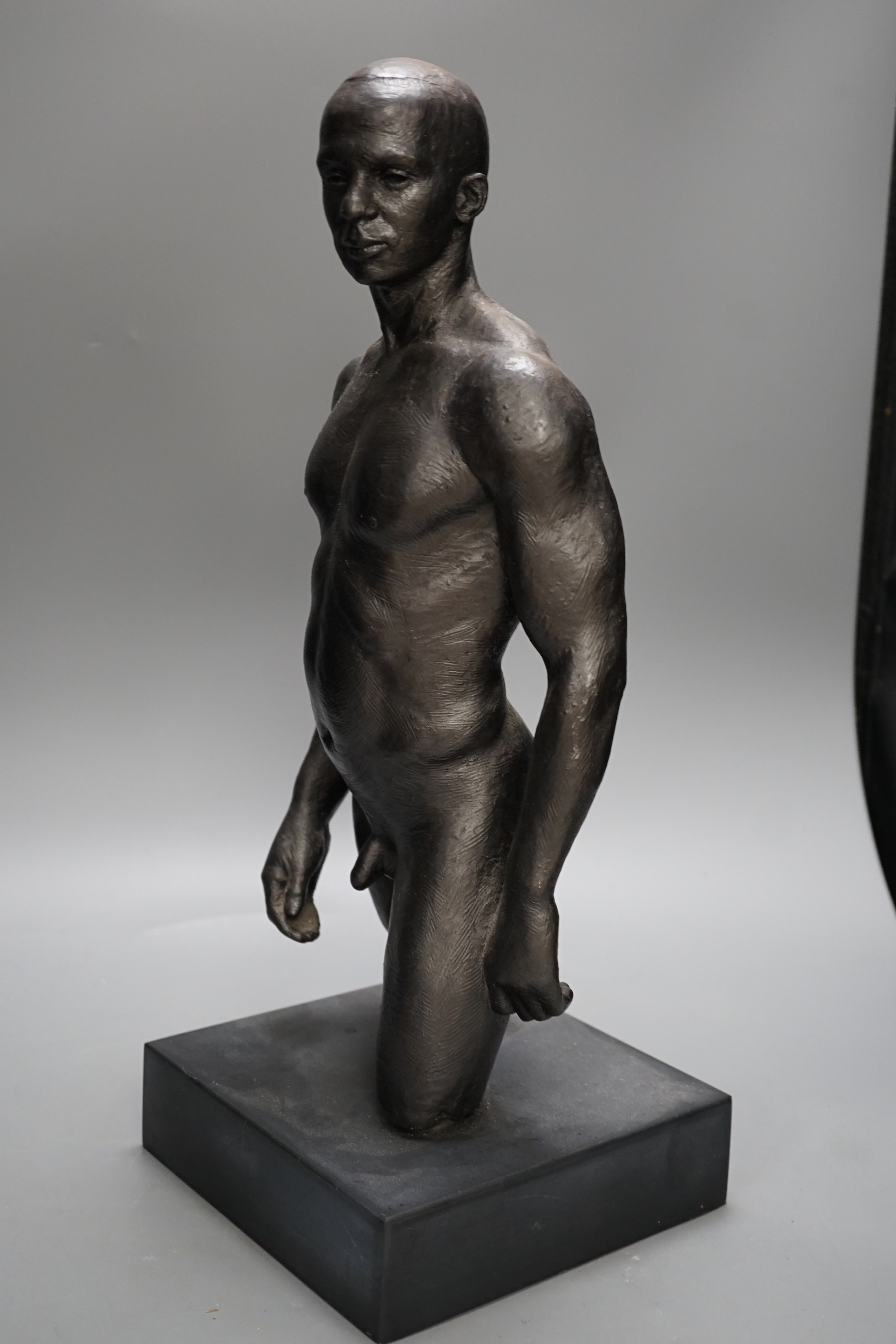 A bronzed plaster nude male torso, 48cms high